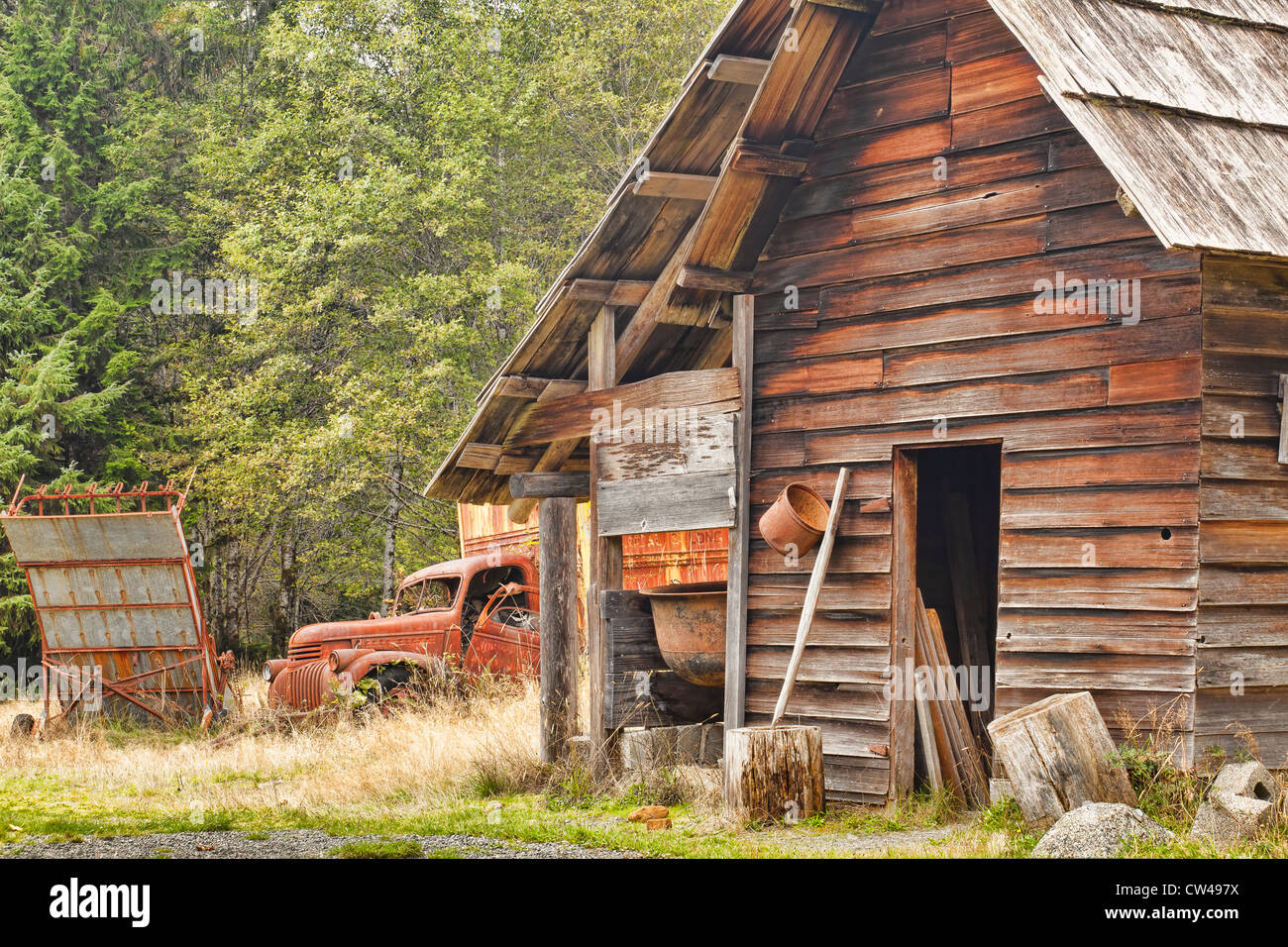 Abandoned Log Cabin Kestner Homestead Quinault Rainforest