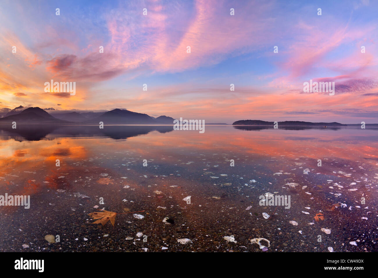 Canal at sunset, Hood Canal, Washington State, USA Stock Photo - Alamy