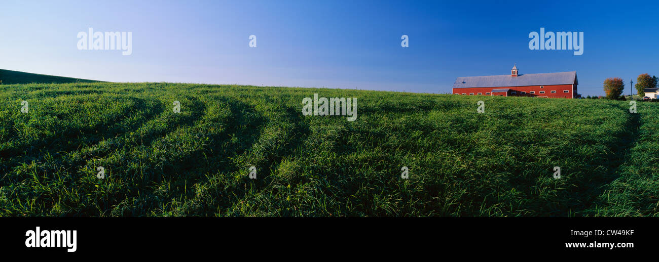 Countryside setting with pasture & shed Stock Photo