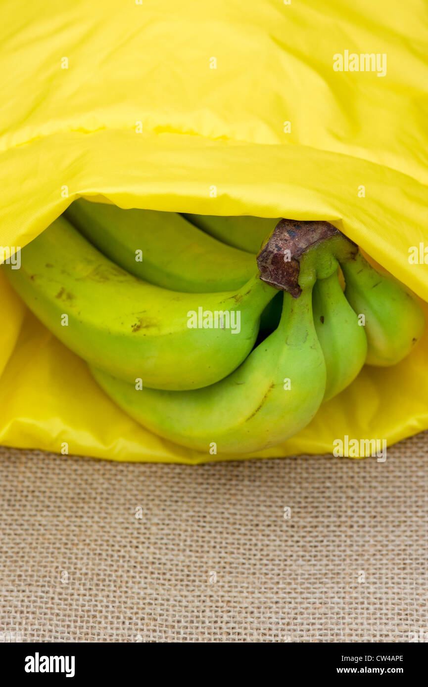 Ripening bananas in a banana bag on hessian Stock Photo Alamy