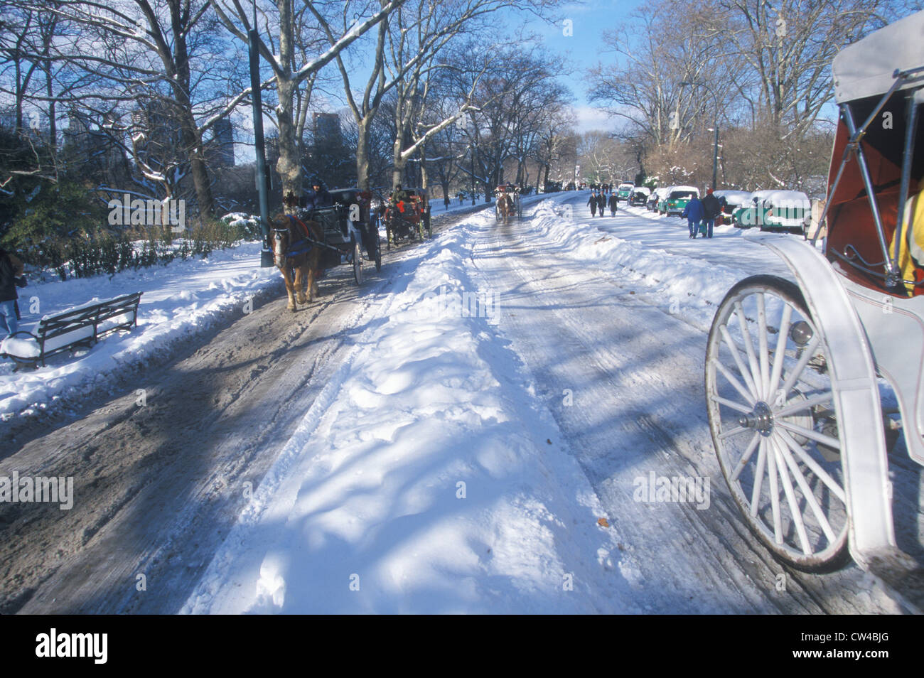 Central park winter horse hi-res stock photography and images - Alamy
