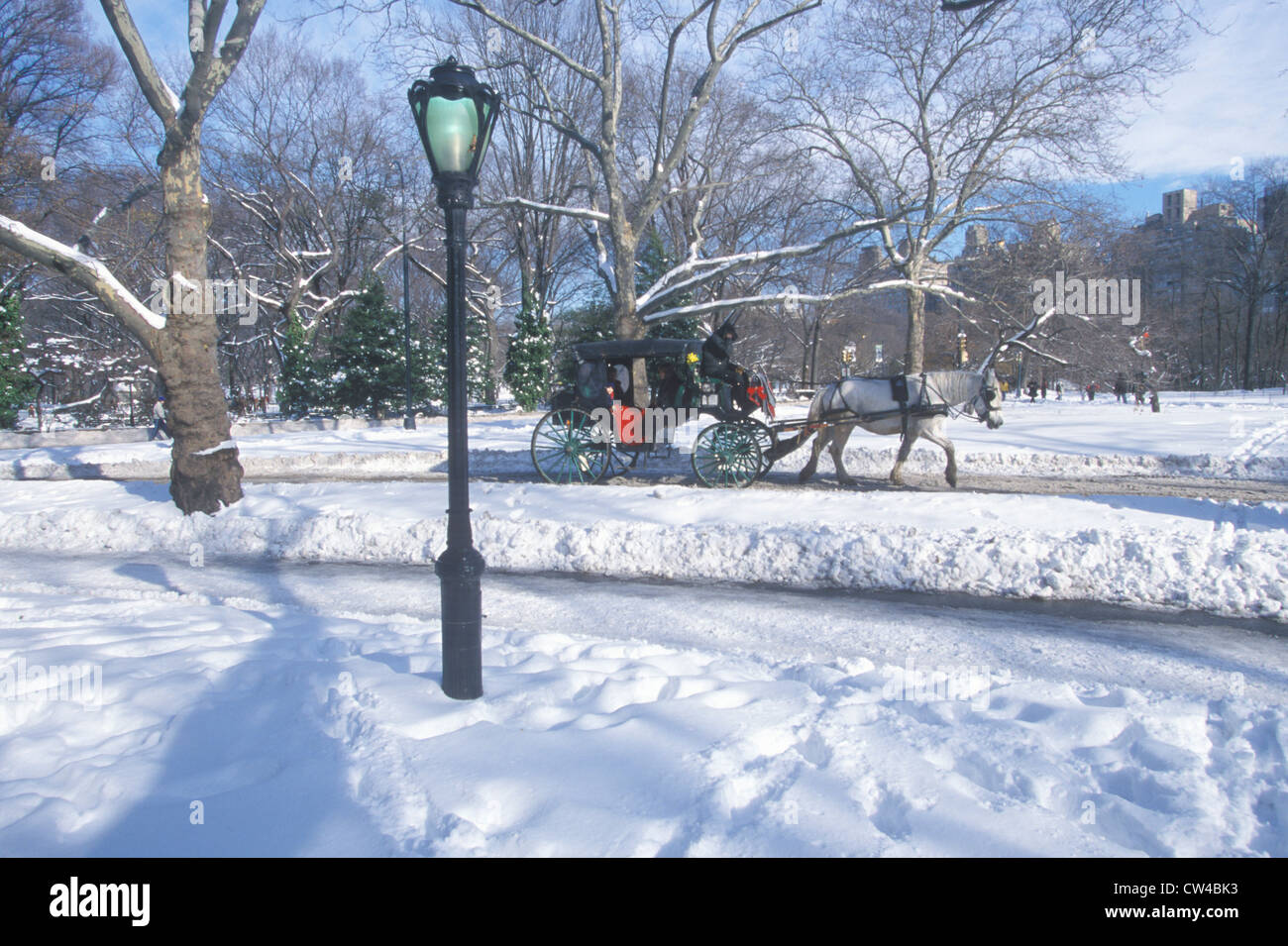 Horse carriage ride in Central Park, Manhattan, New York City, NY after winter snowstorm Stock Photo