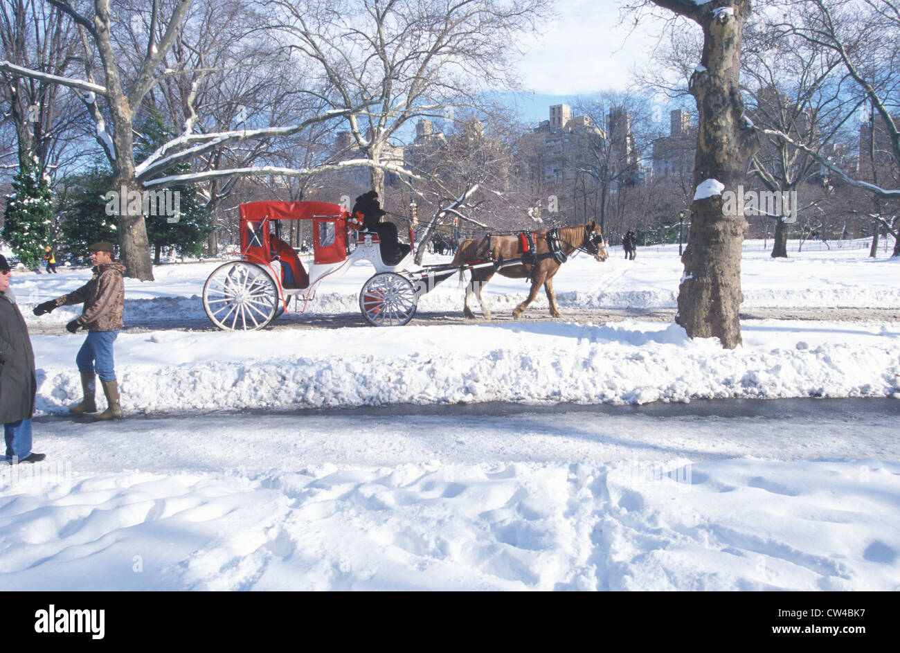 Horse carriage ride in Central Park, Manhattan, New York City, NY after ...