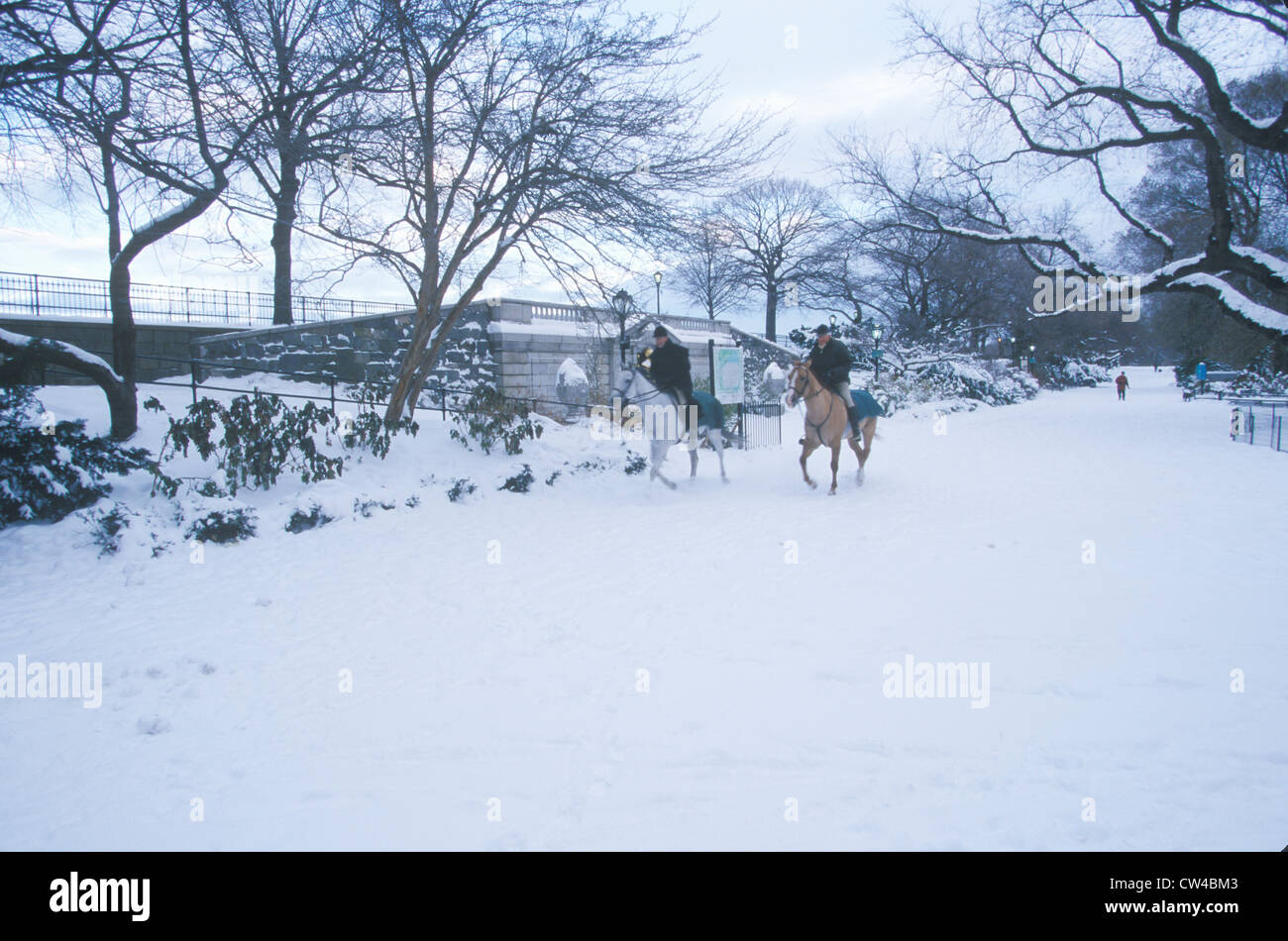 Horseback ride through fresh snow in Central Park, Manhattan, New York City, NY Stock Photo