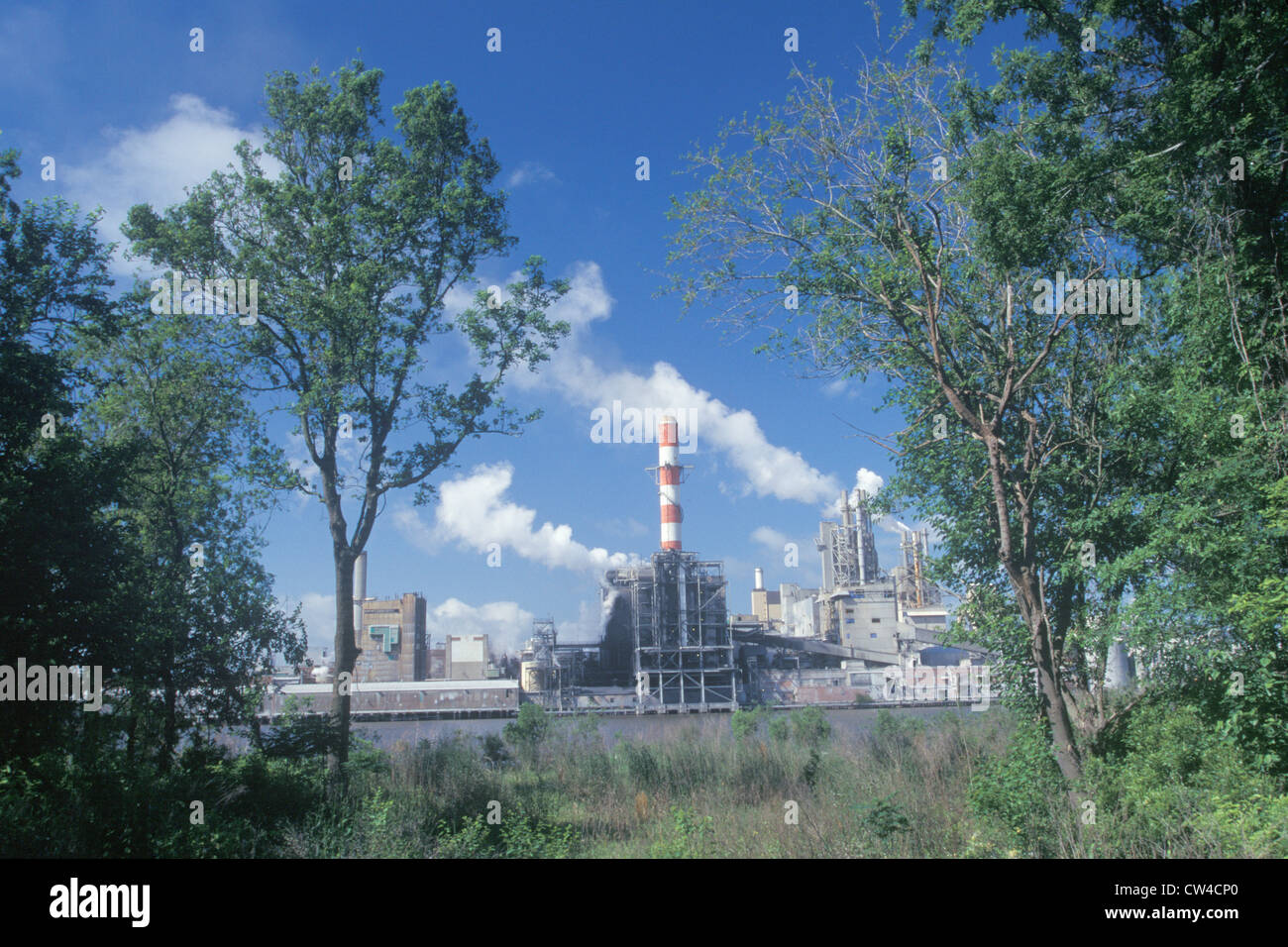 Looking through the trees to the Union Camp Paper Mill on the Savannah River in Savannah