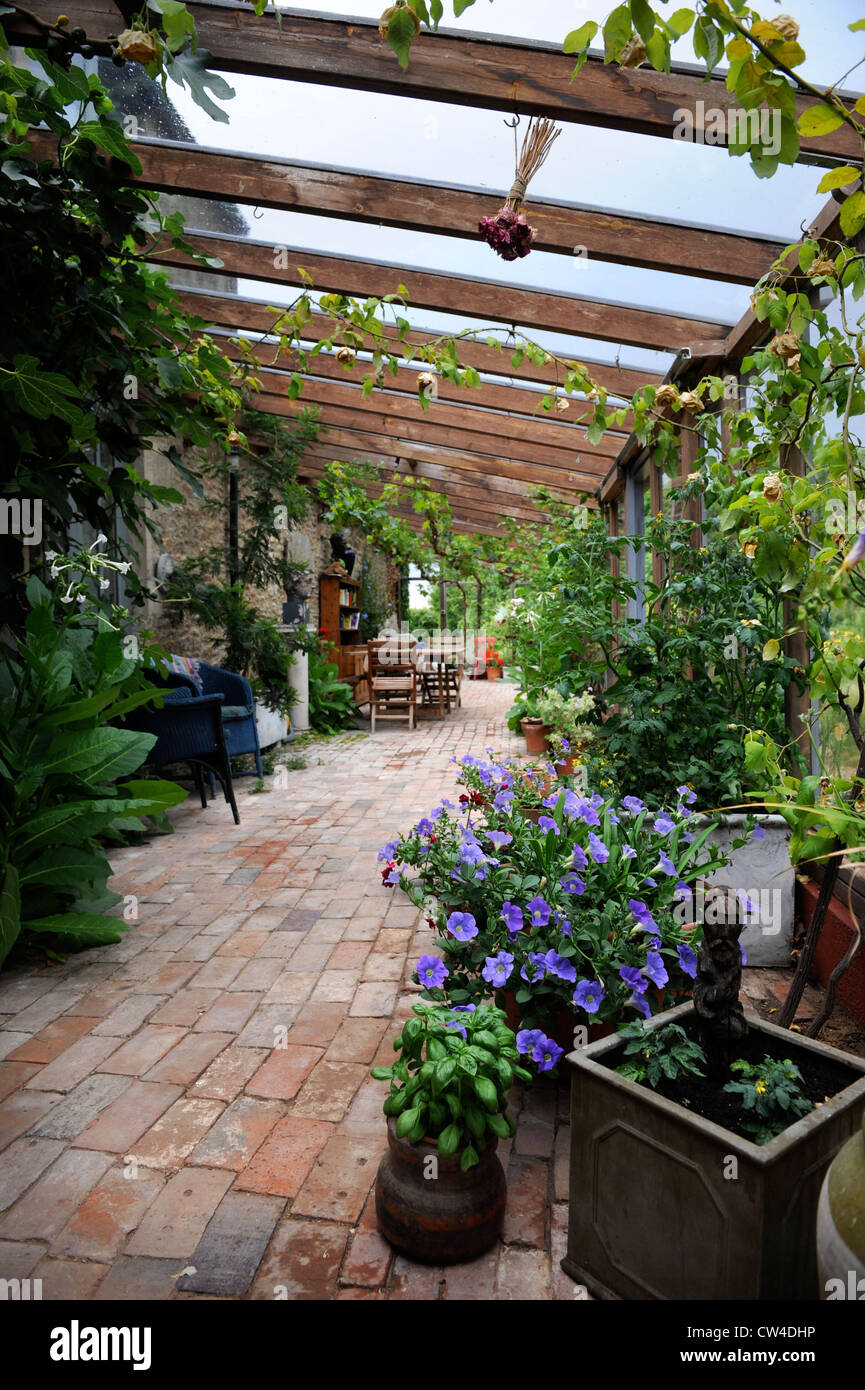 Grape vine uk hires stock photography and images Alamy