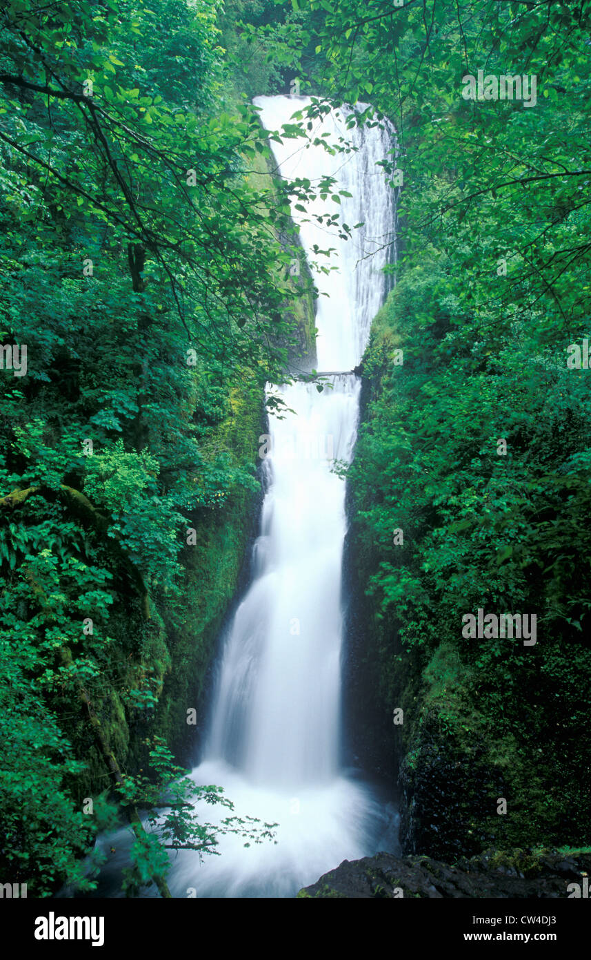 Bridal Veil Falls, Oregon Stock Photo Alamy