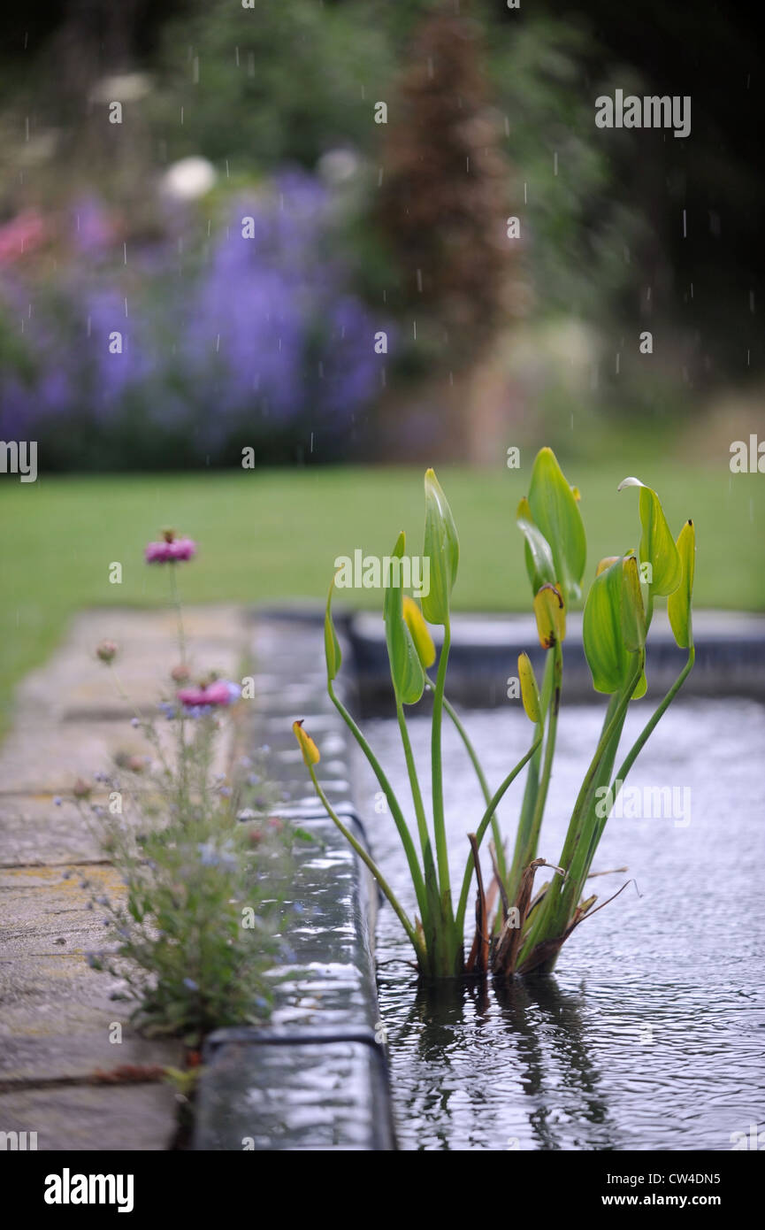 Garden pond and water feature hi-res stock photography and images - Alamy