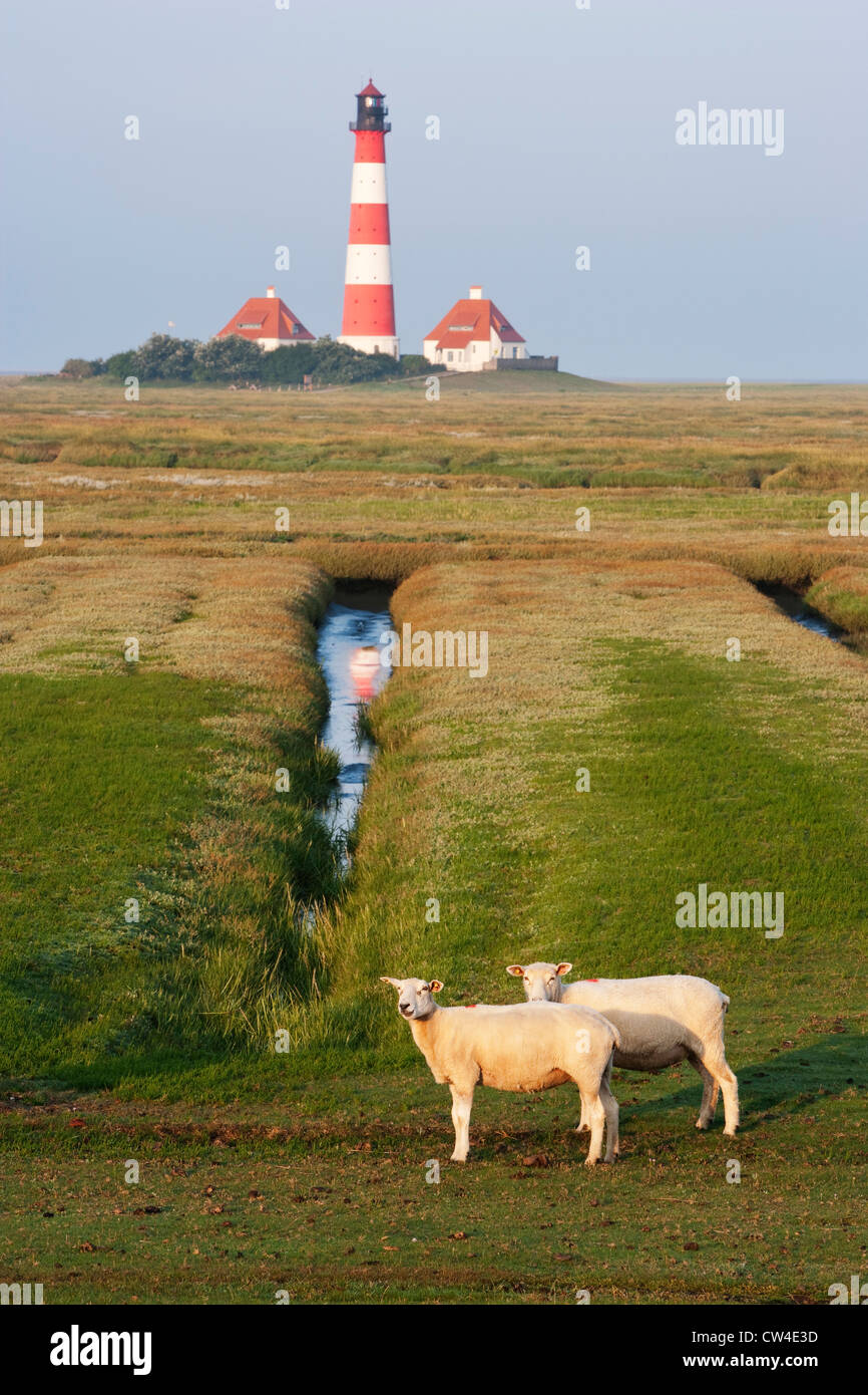 Westerhever sand hi-res stock photography and images - Alamy