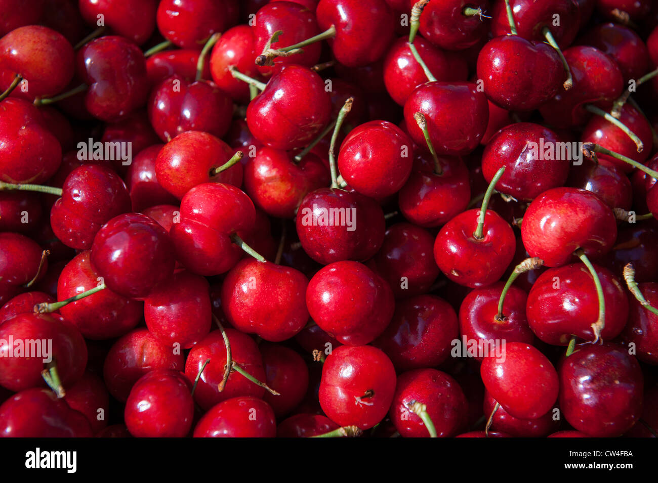 Cherrys Cherrys hi-res stock photography and images - Alamy