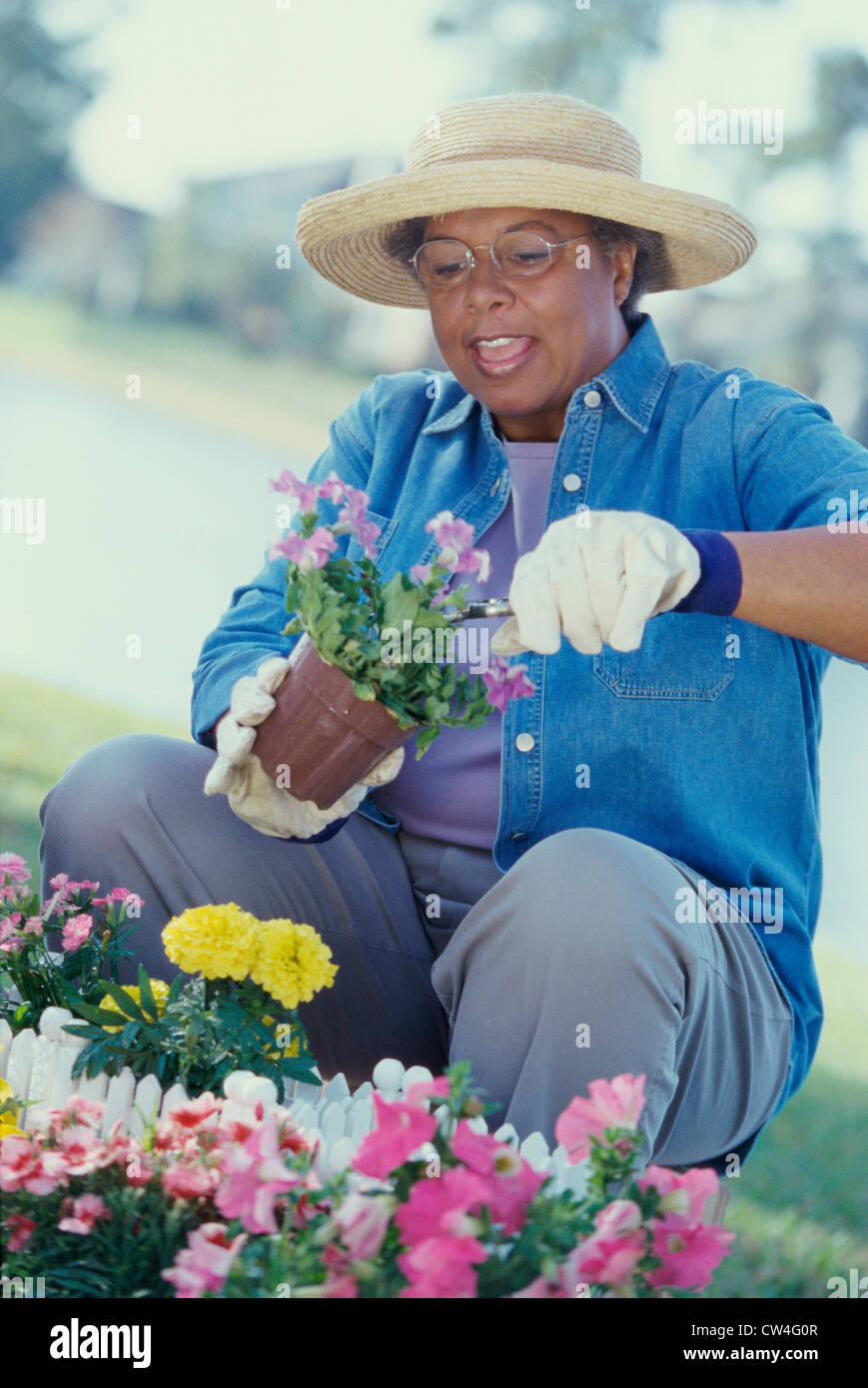 Senior woman gardening Stock Photo - Alamy