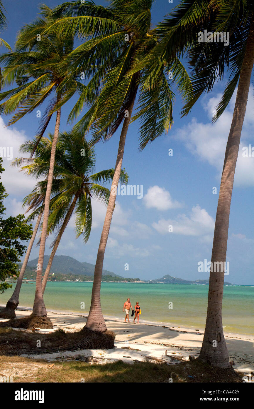 Beach with palm trees and the Gulf of Thailand on the island of Ko Samui, Thailand. Stock Photo