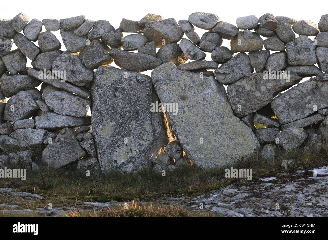 Dry stone wall field boundary Carraroe, Conamara, County Galway, Ireland Stock Photo
