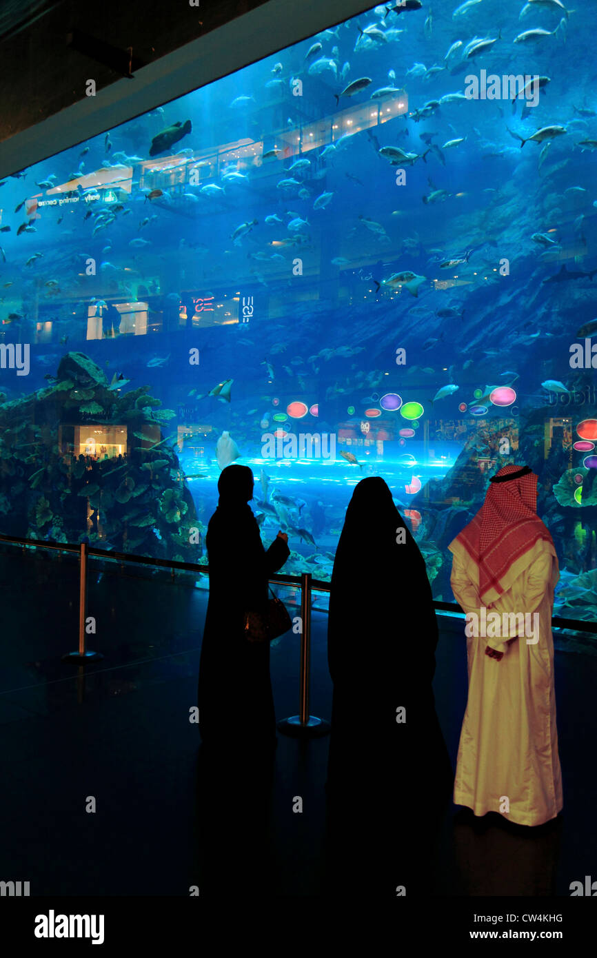 3581. Aquarium, Dubai Mall, Dubai, UAE. Stock Photo