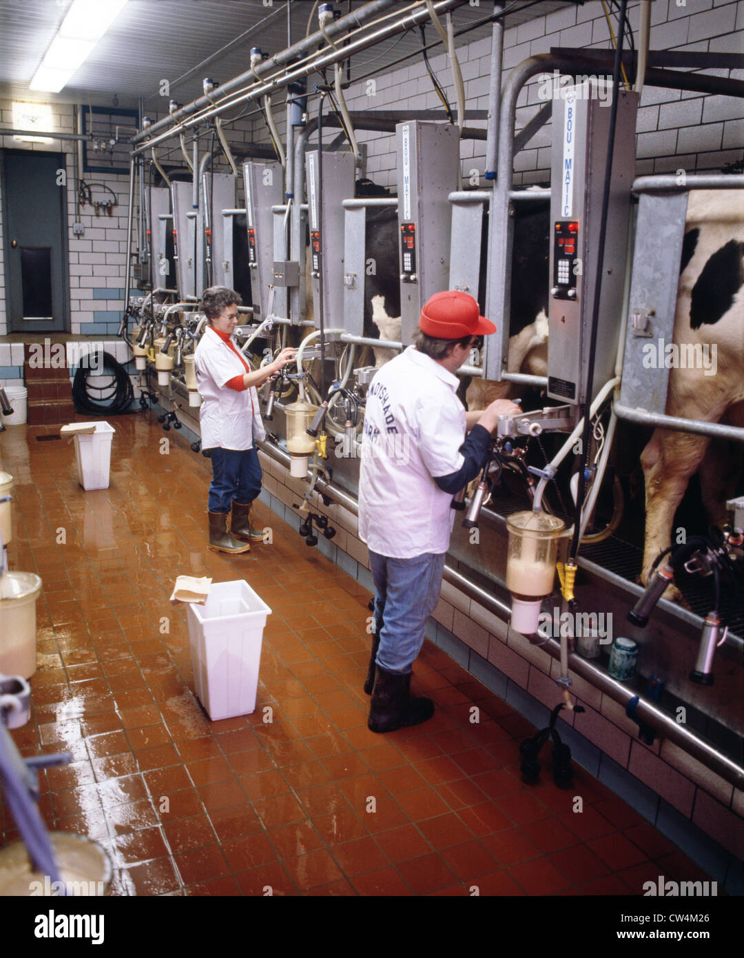 Milk ration hi-res stock photography and images - Alamy