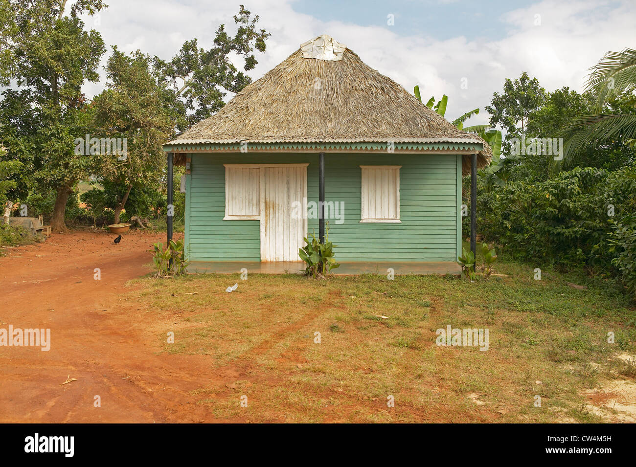 Small green house with thatched roof in Valle de Viñales, in central Cuba Stock Photo