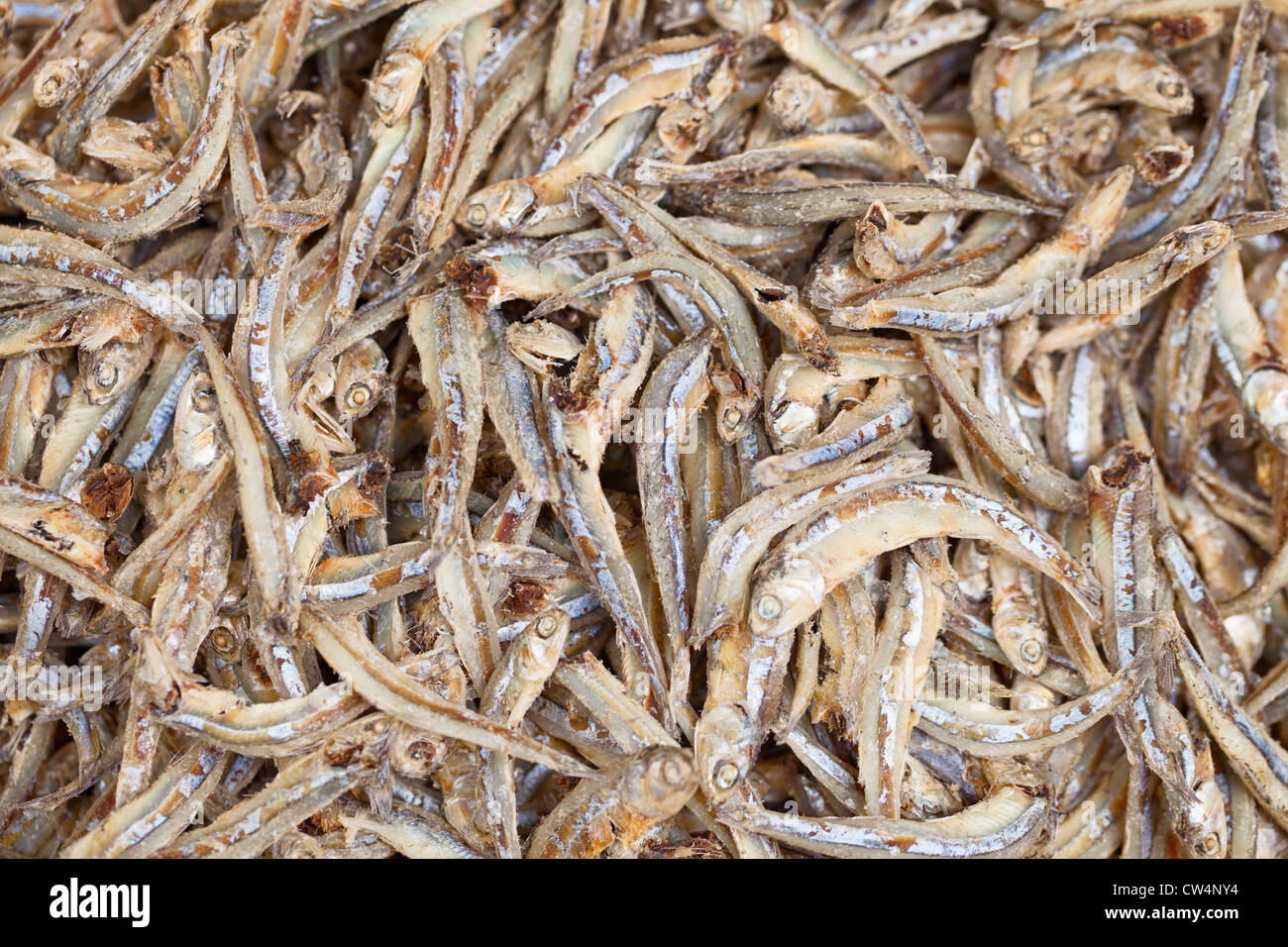 Whitebait on the market counter edible anchovies background Stock