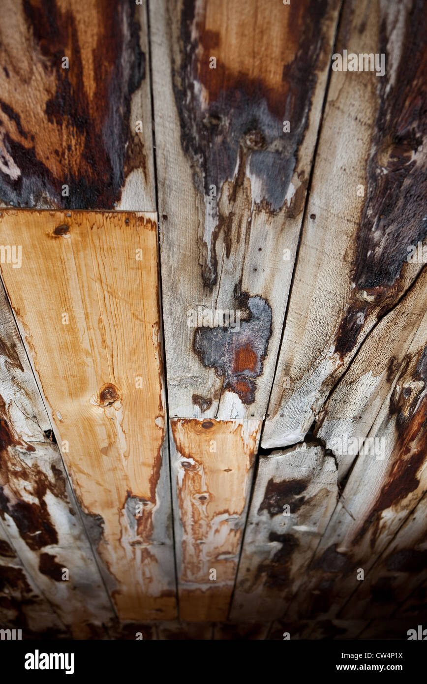 Old distressed wood paneling. Stock Photo