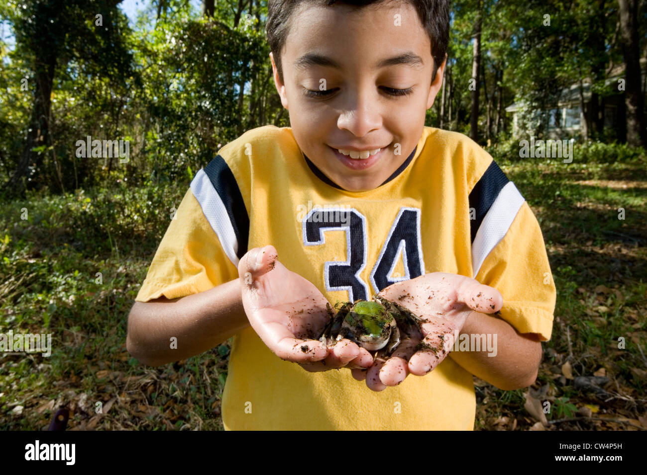 Boy holding a frog in his palm at forest Stock Photo