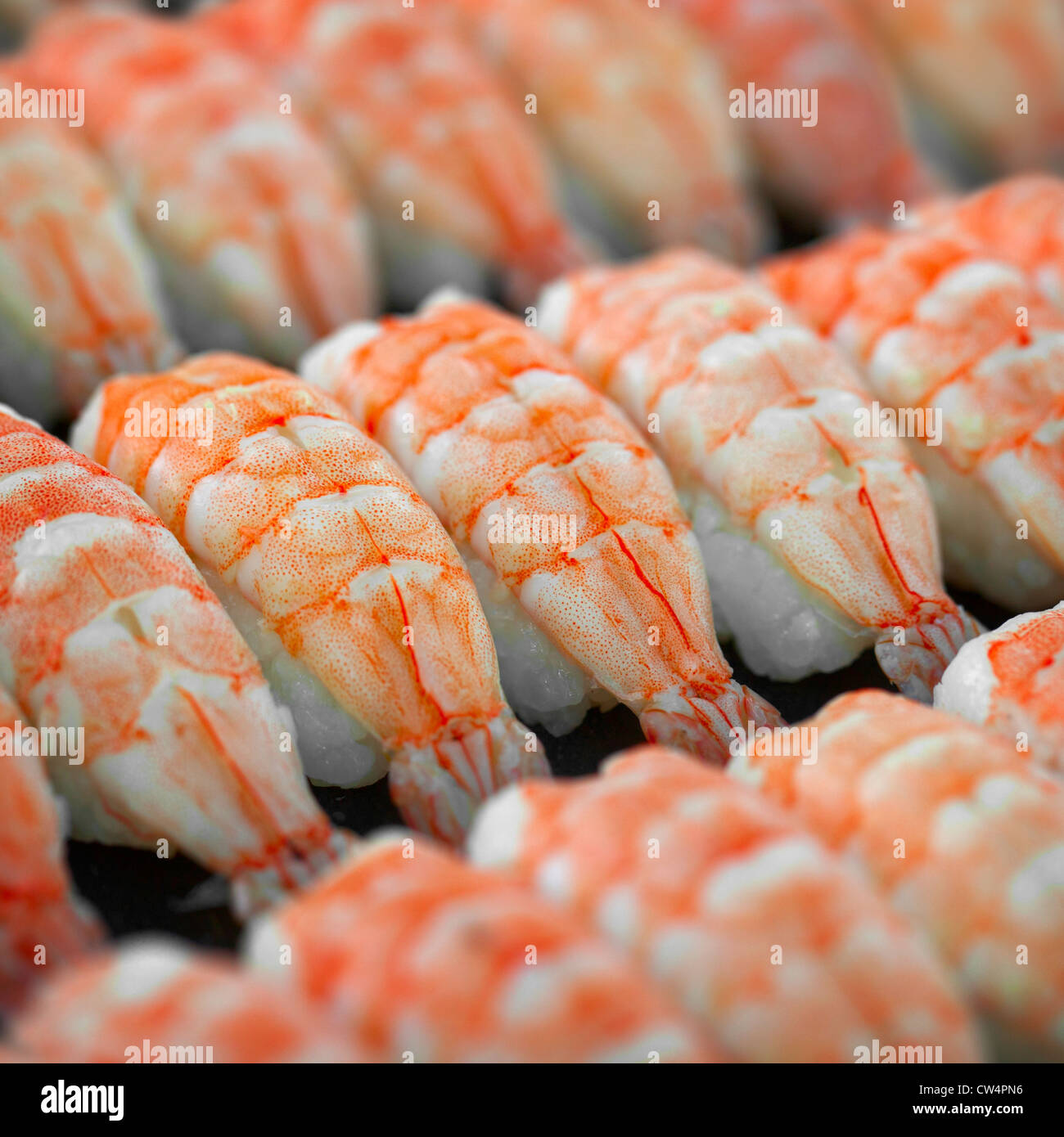 Shrimp sushi close up - Japanese cuisine Stock Photo