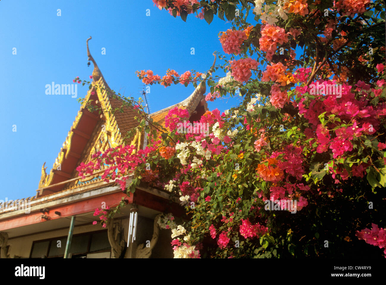 Buddhist Temple in Bangkok, Thailand Stock Photo - Alamy
