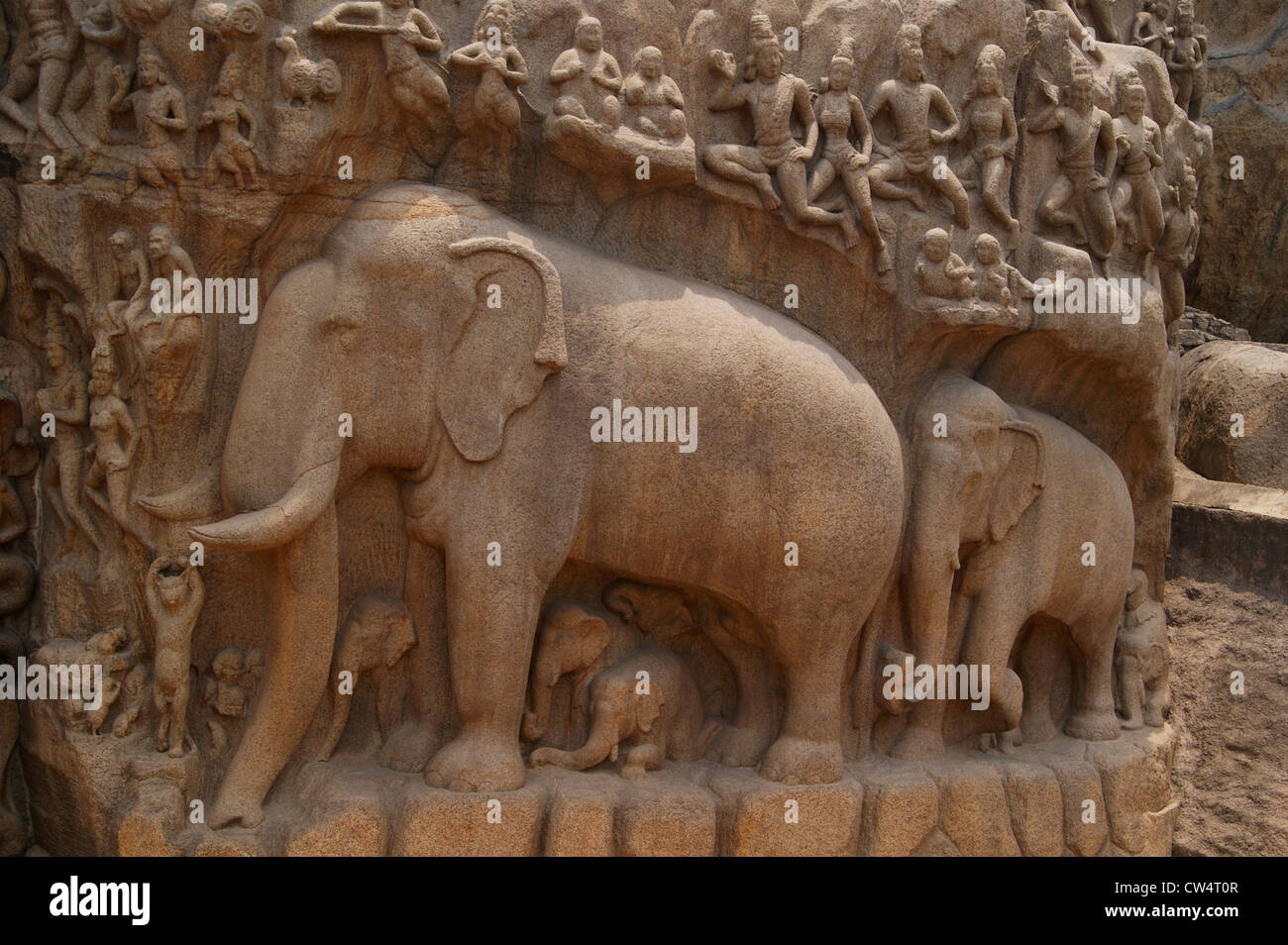 Elephant Sculpture carved in granite at Arjuna's penance in Mahabalipuram India Stock Photo