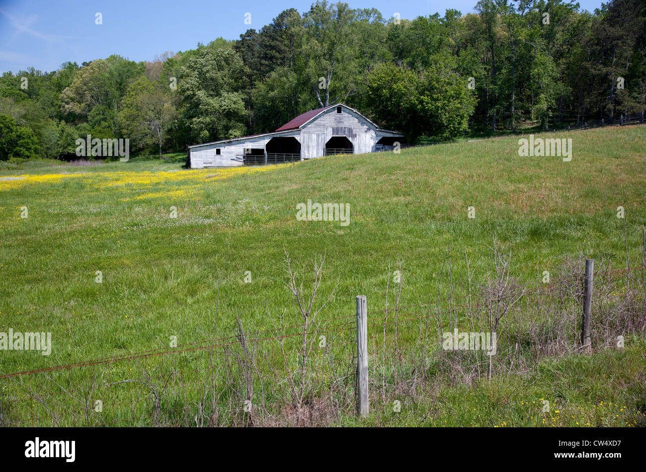 Old white barn in a green field with a fence row before it, and blue