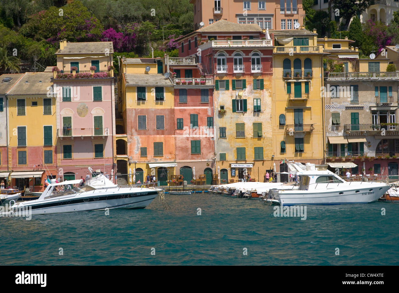View Portofino's Riviera di Levante and its colorful buildings and harbor small Italian fishing village in province Genoa on Stock Photo