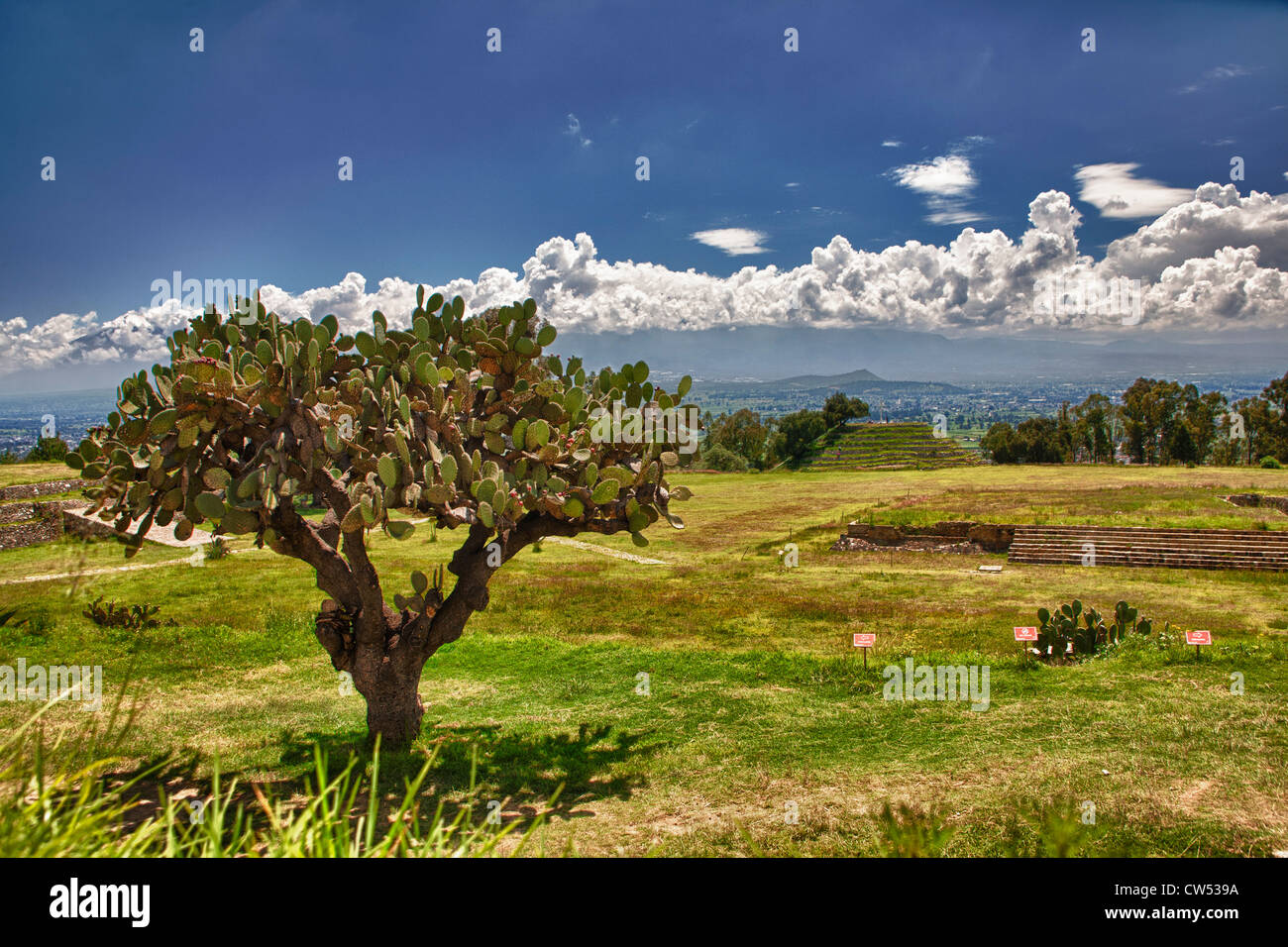 Xochitecatl archaeological site in the state of Tlaxcala, Mexico Stock Photo