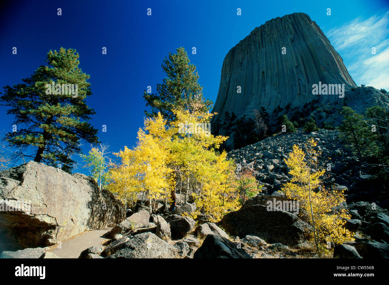 Low angle view of a rock formation, Devils Tower National Monument, Wyoming, USA Stock Photo