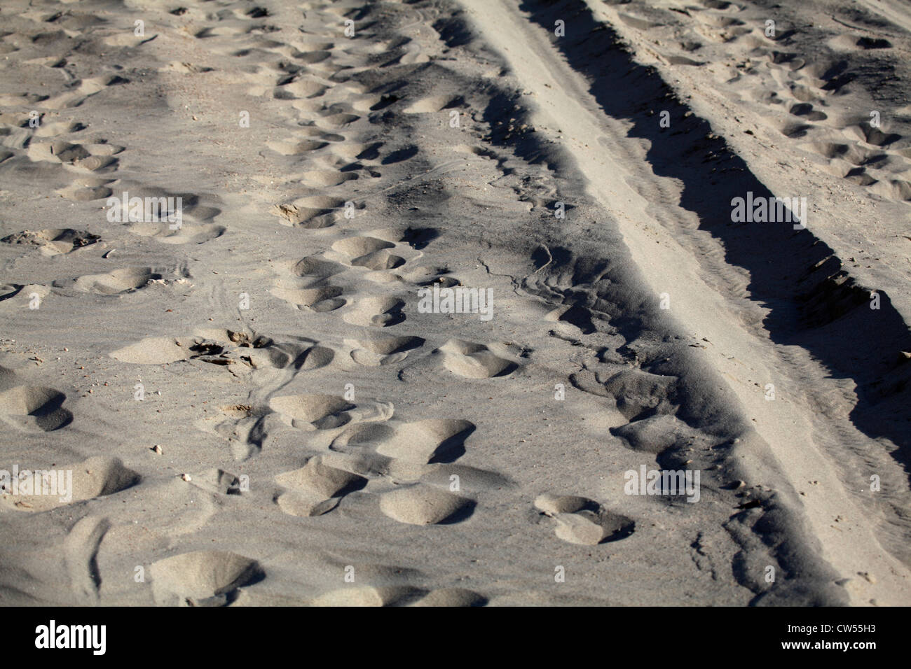 Footprints and tire tracks in sand. Stock Photo