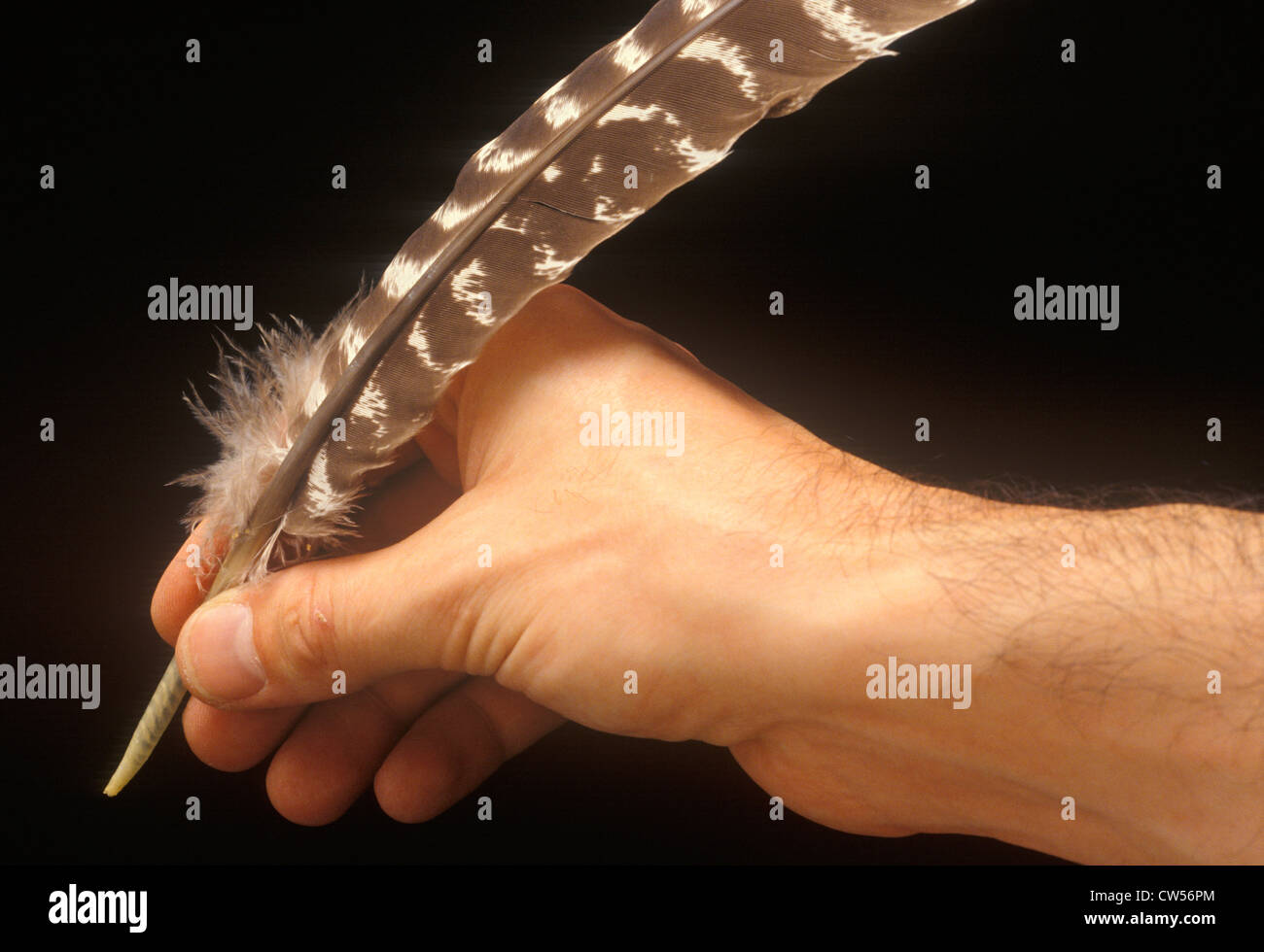 Hand holding quill pen, such as the once used for signing Declaration
