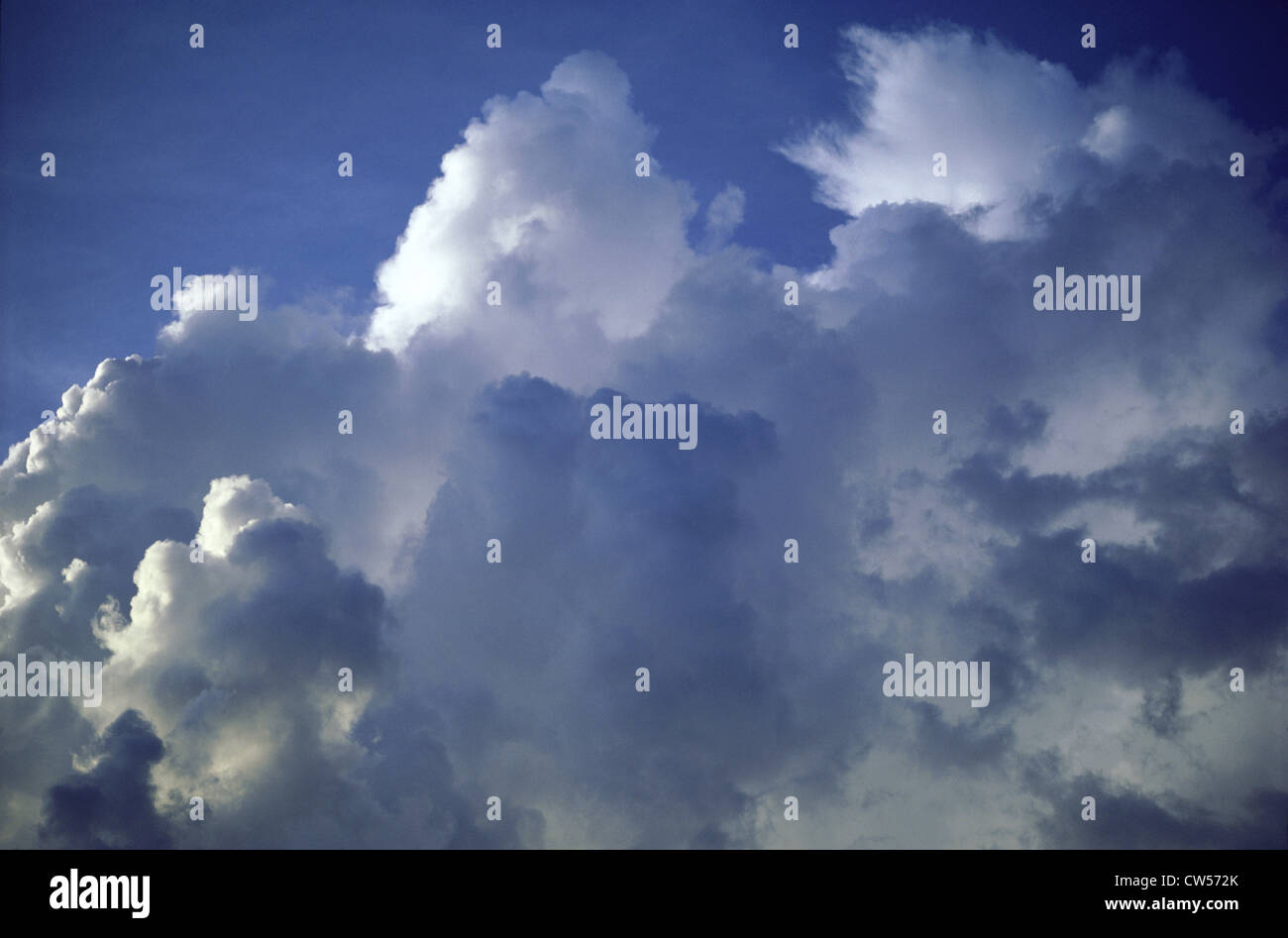 Low angle view of cumulus clouds in the sky Stock Photo