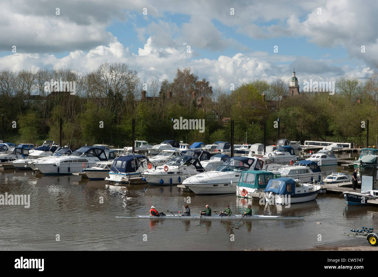 Rowing at the marina in Upton upon Severn Stock Photo Alamy