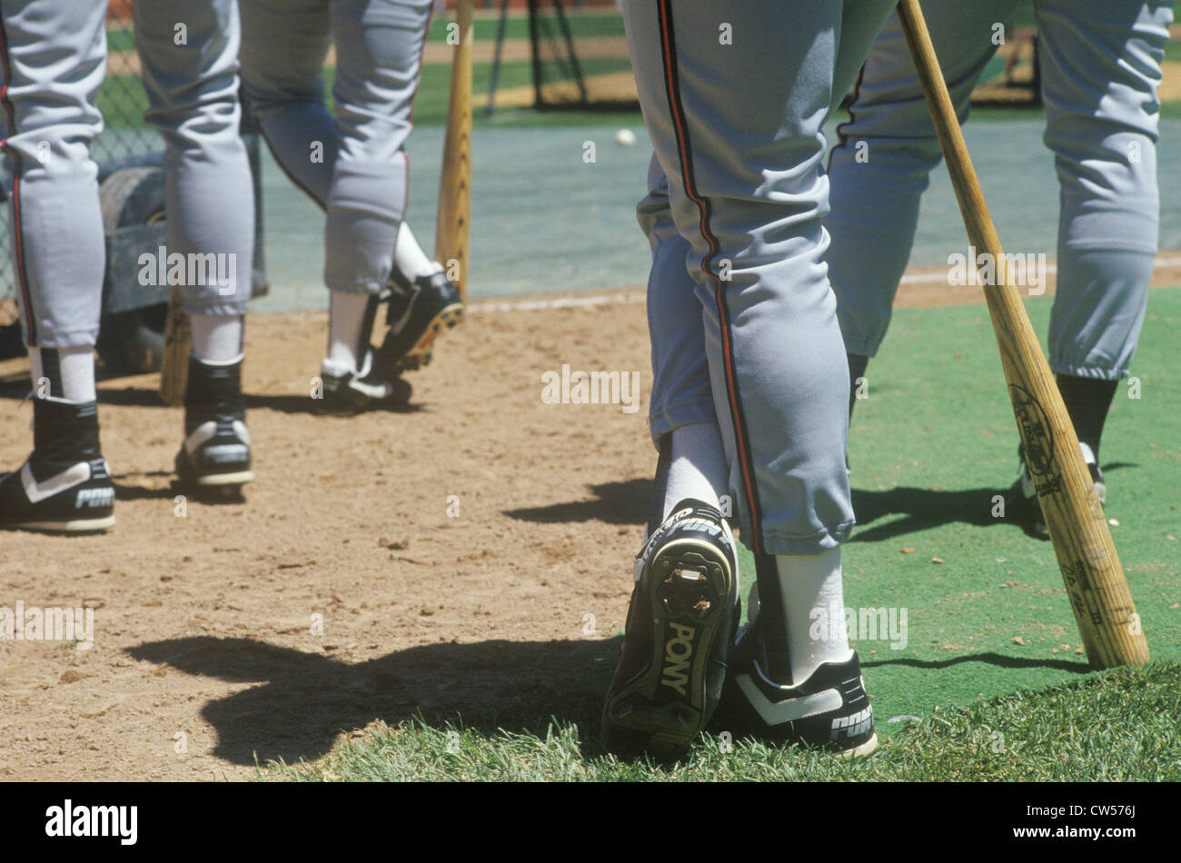 Legs of major league baseball players Stock Photo Alamy