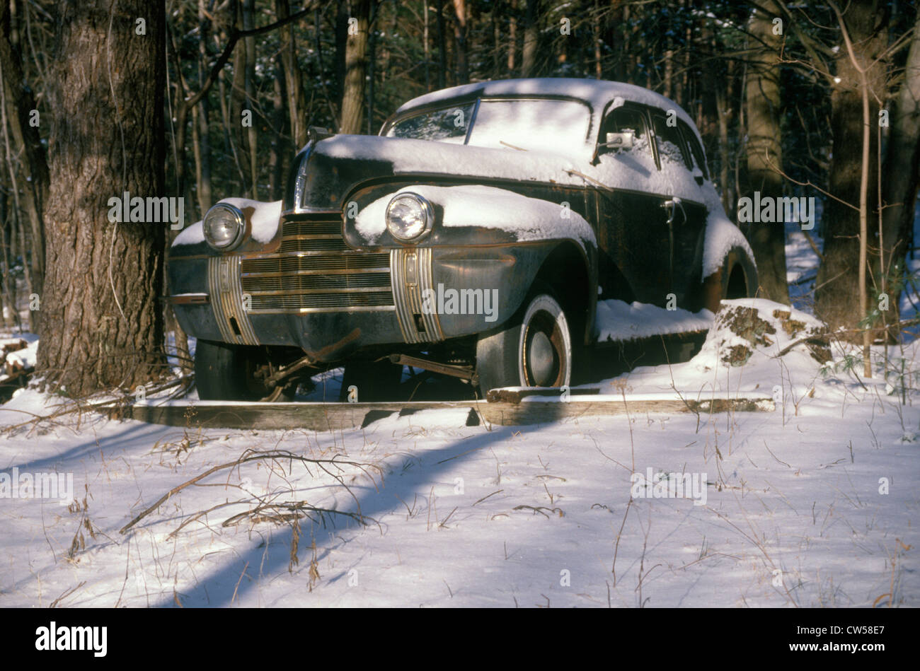 Old junk cars in woods hi-res stock photography and images - Alamy