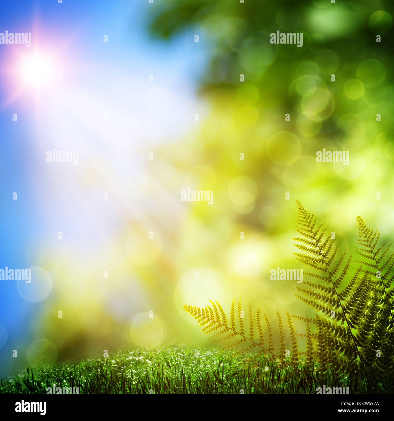 Natural Effect Background Fern. Abstract natural backgrounds with beauty bokeh Stock Photo - Alamy