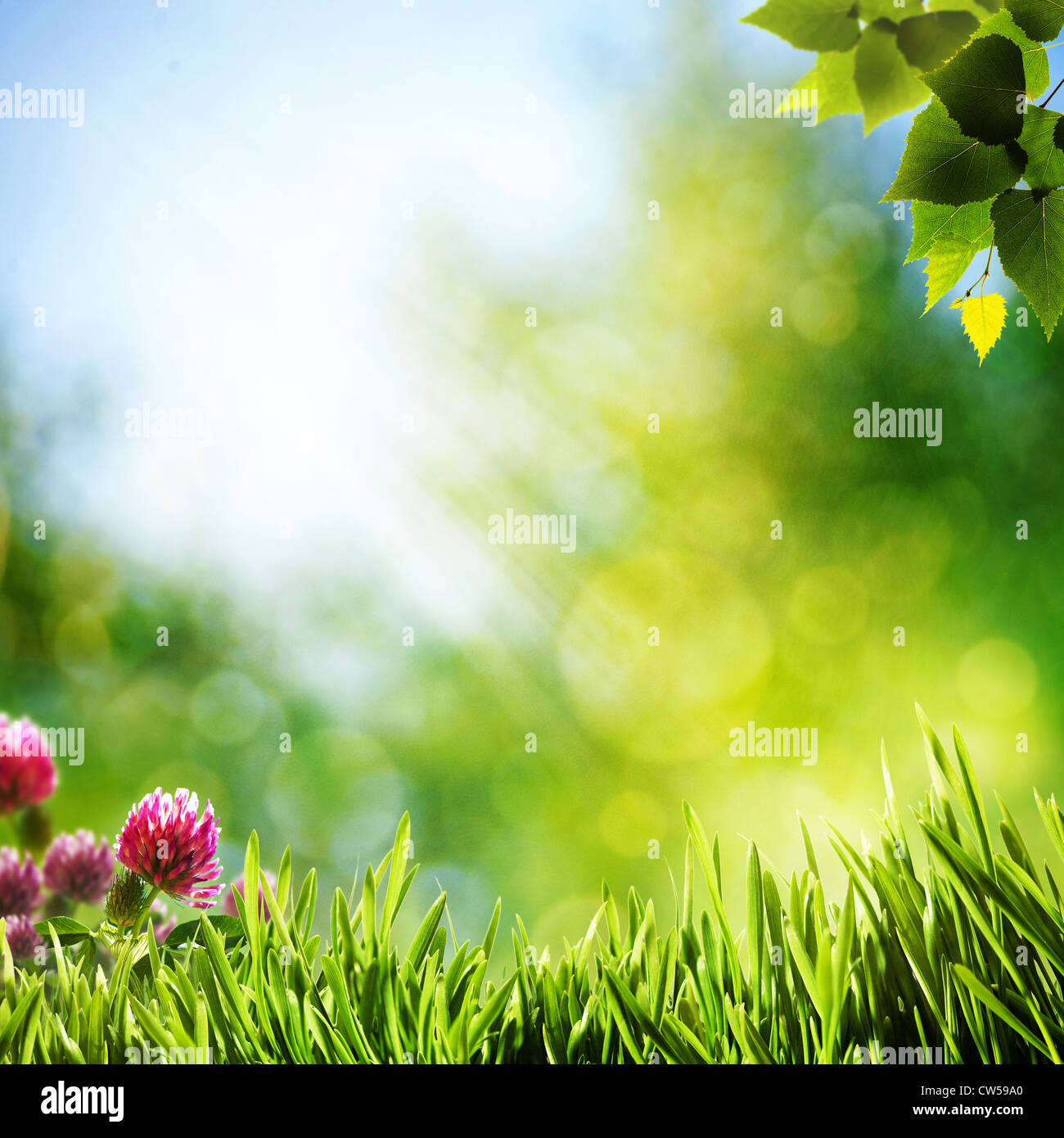 Order Natural Background beauty natural backgrounds with green grass and butterfly Stock Photo ...