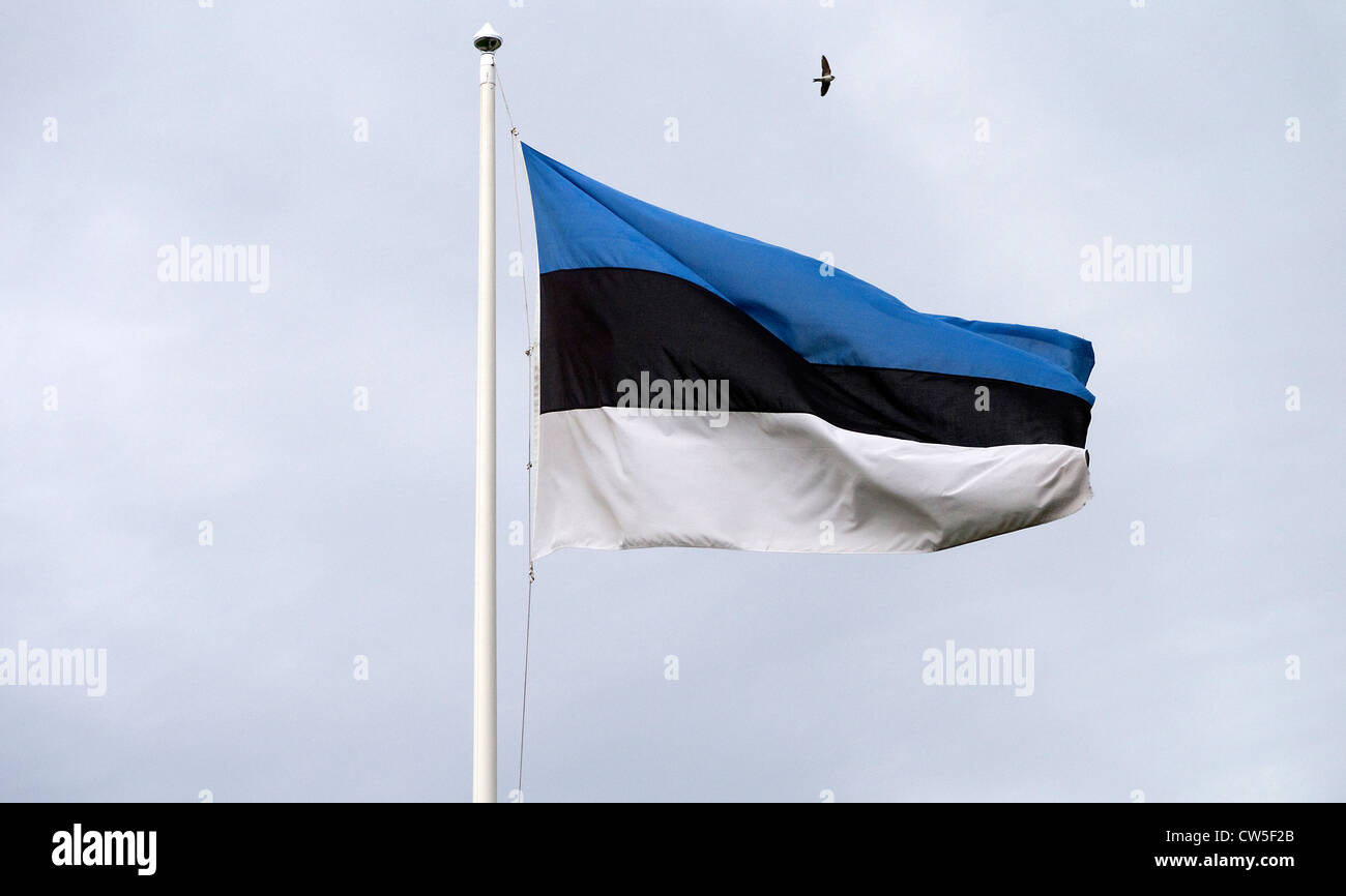 Estonian flag Stock Photo