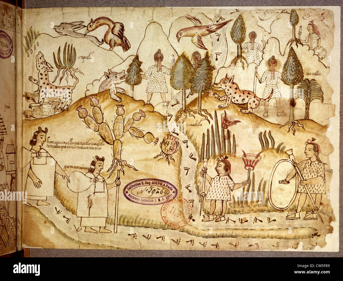 Azcatitlan codex. f° 5, The Aztecs crossing mountains Stock Photo