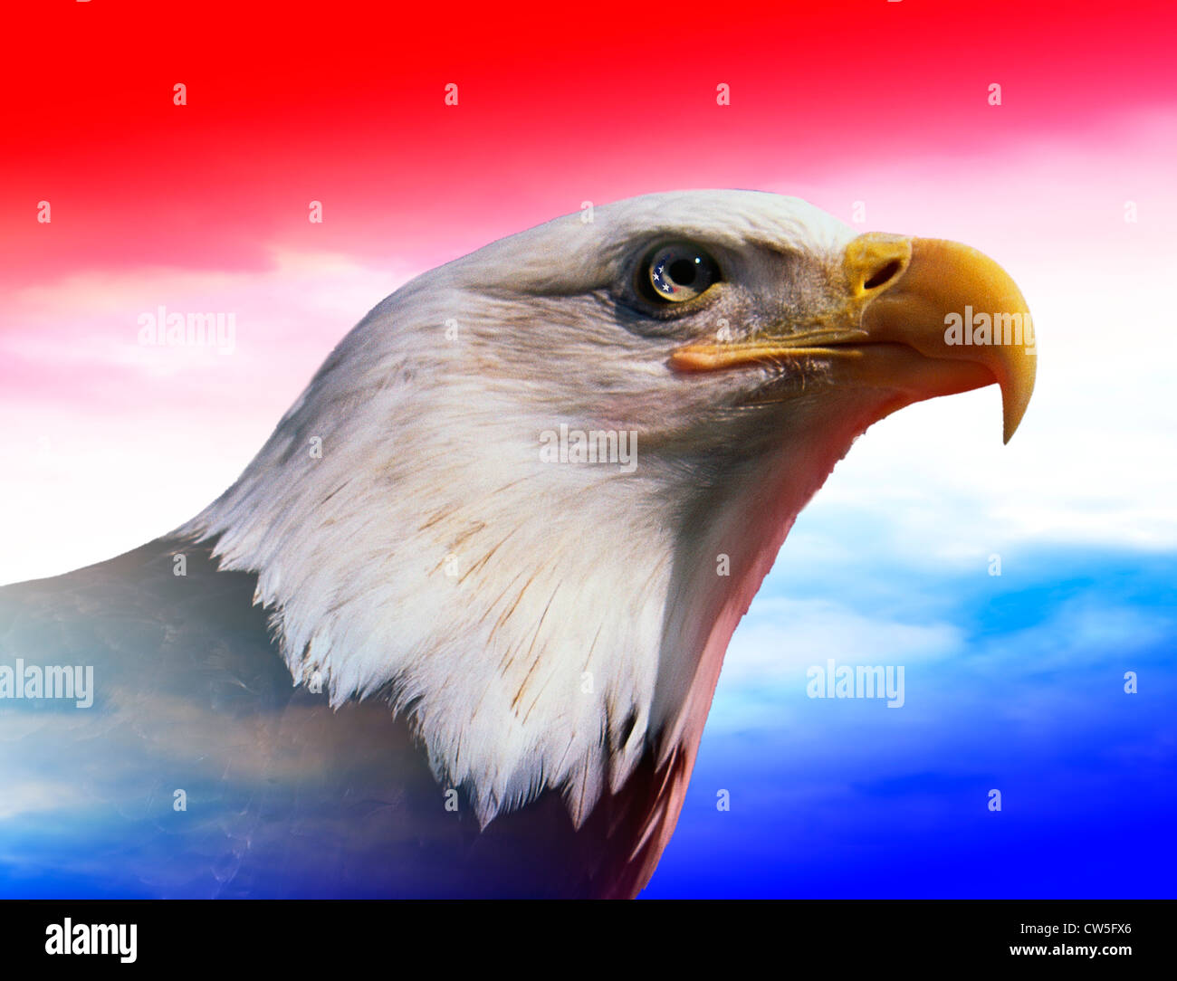Red White And Blue Eagle Logo