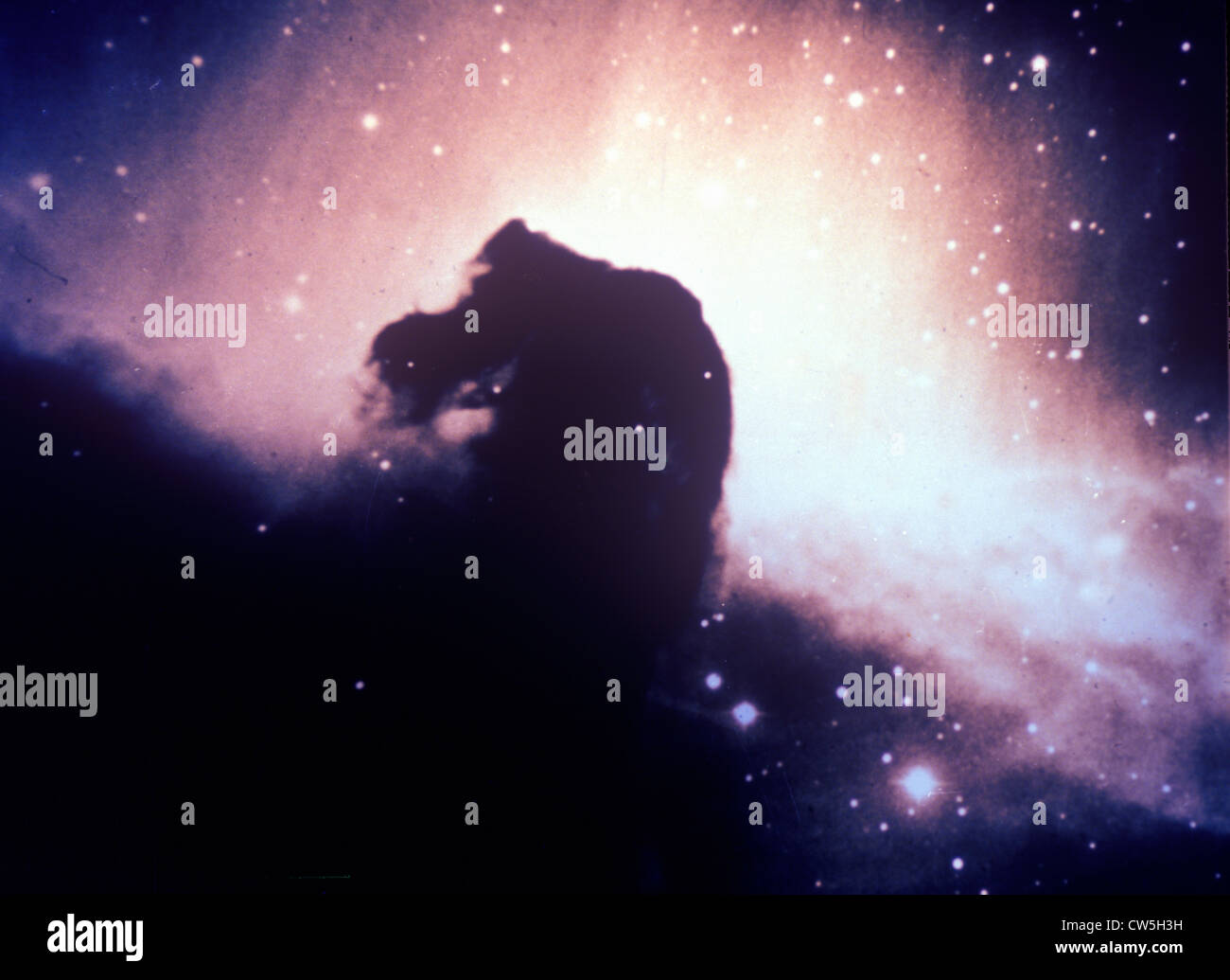 Horsehead Nebula in the constellation Orion Stock Photo