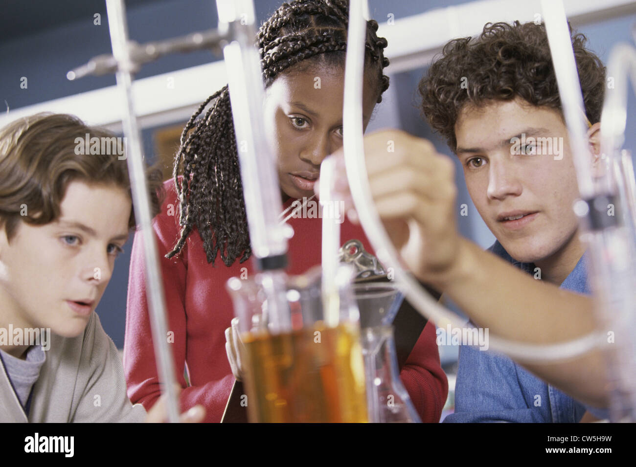 Group of teenagers experimenting in a science lab Stock Photo Alamy