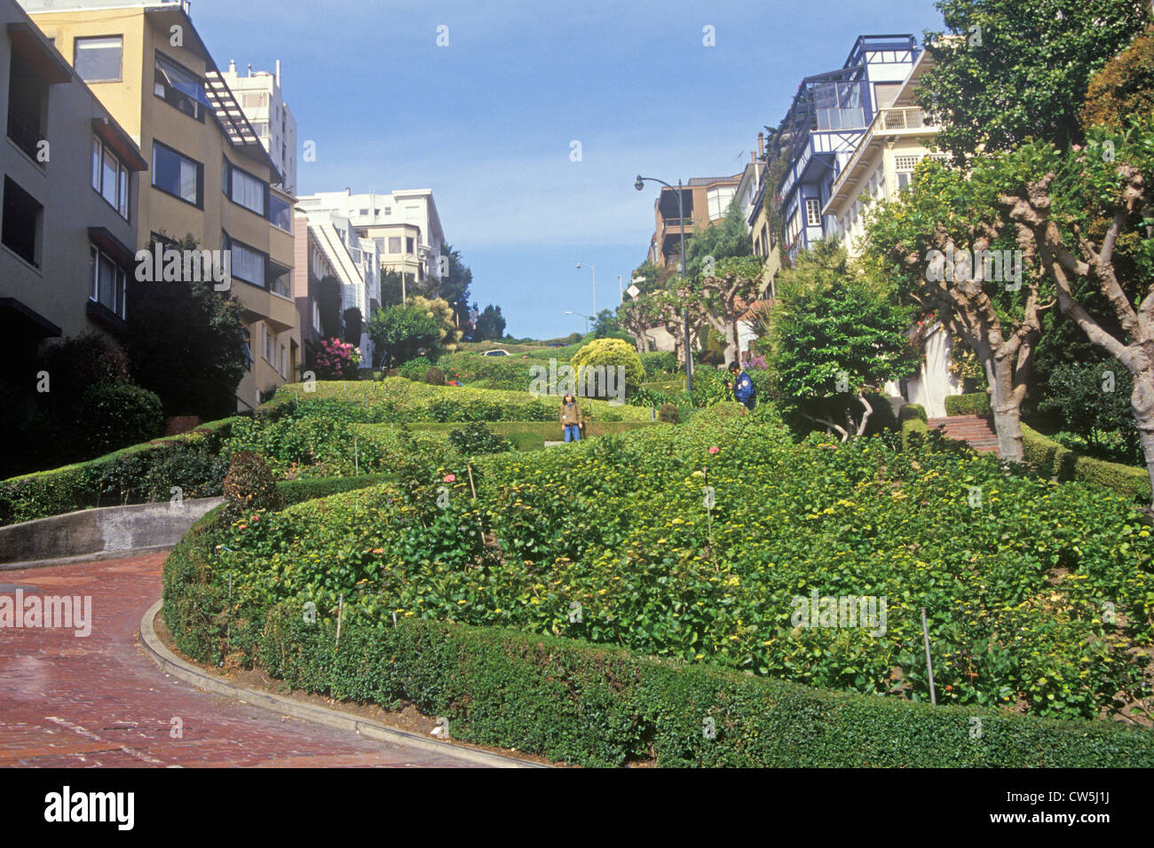 Lombard Street, the ?crookedest? street in San Francisco, San Francisco