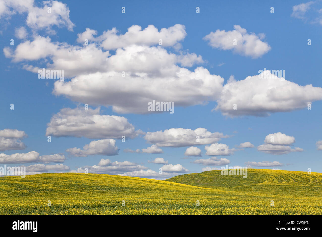 Cloudy Sky, Washington, USA Stock Photo