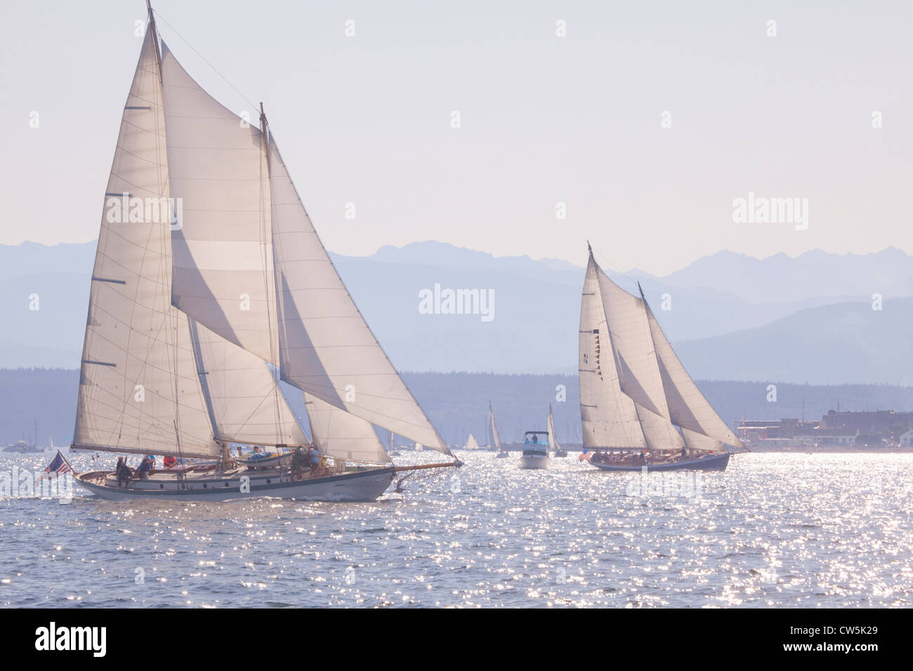 Sailboats racing in the ocean, Port Townsend, Washington State, USA