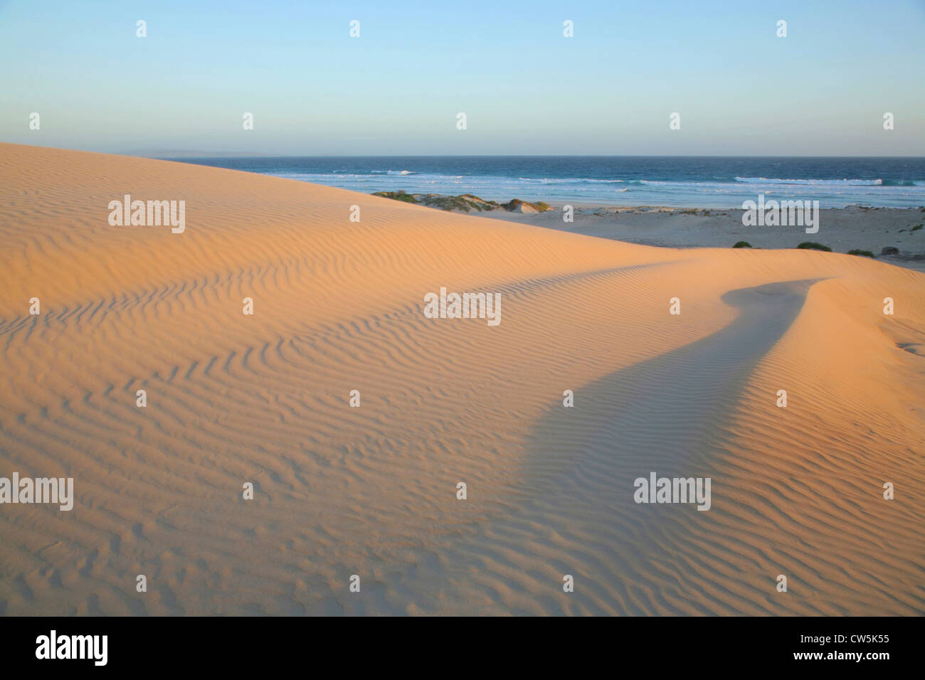 Sand dune at the seaside, Sleaford Bay, Eyre Peninsula, South Australia, Australia Stock Photo