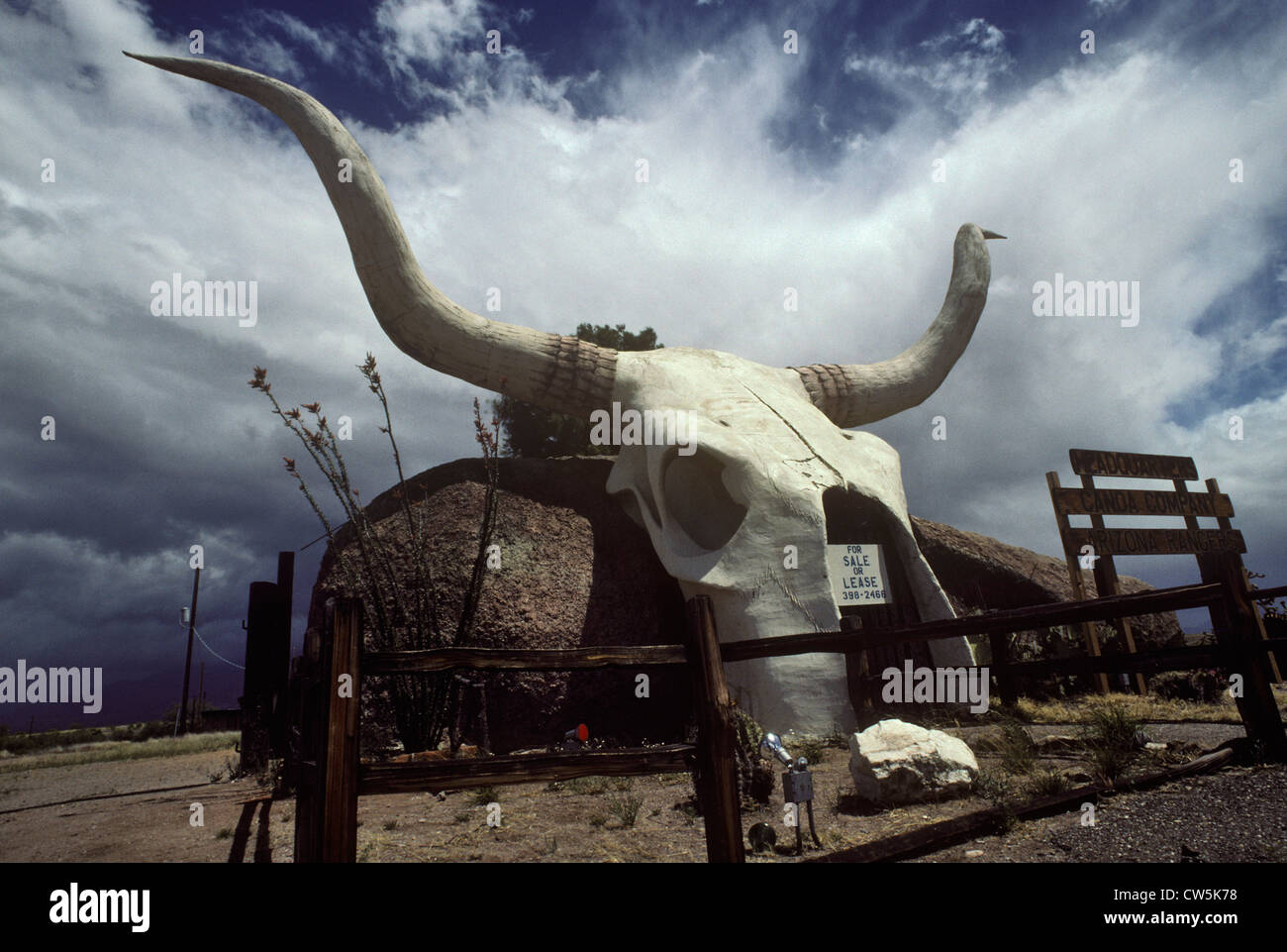 Building with giant cow skull, Amado, Arizona Stock Photo - Alamy