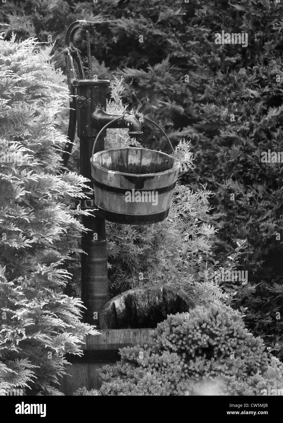 Garden decorative water pump feature Stock Photo Alamy