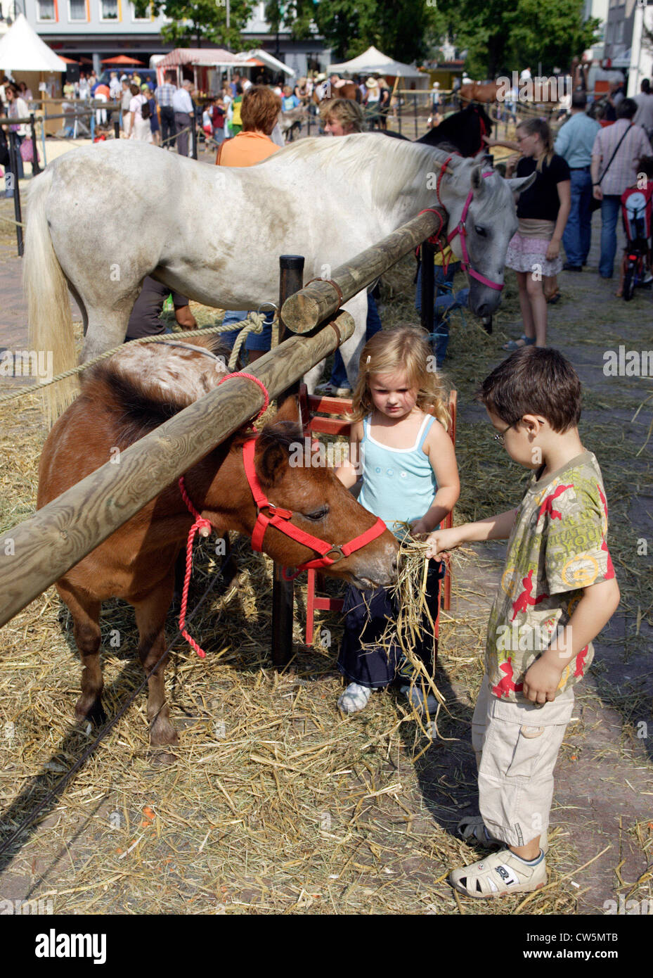 Bottroper hi-res stock photography and images - Alamy